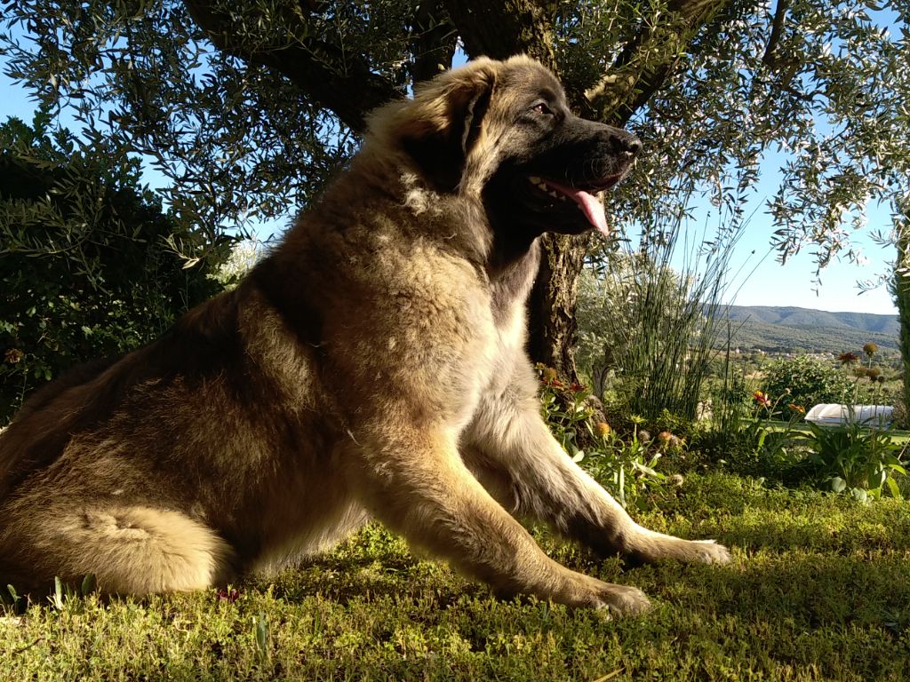 Sunshine De La Petite Séolane